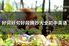 好词好句好段摘抄大全初中英语(精选40句)