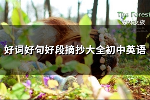 好词好句好段摘抄大全初中英语(精选40句)