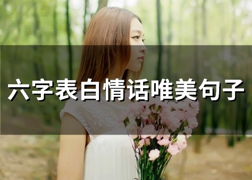 六字表白情话唯美句子(精选60句)