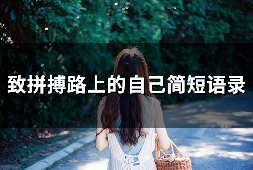 致拼搏路上的自己简短语录(精选80句)