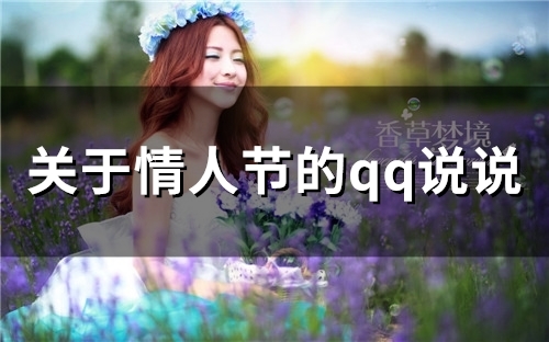 关于情人节的qq说说(精选75句)