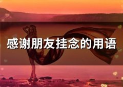 感谢朋友挂念的用语(80句)