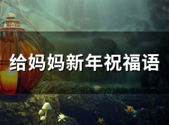 给妈妈新年祝福语(84句)