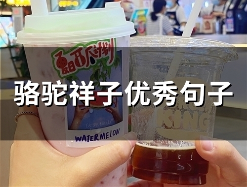 骆驼祥子优秀句子(85句)