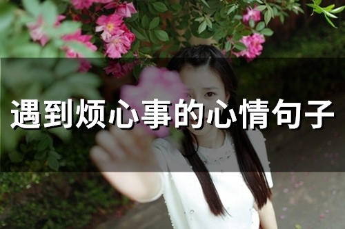遇到烦心事的心情句子(76句)