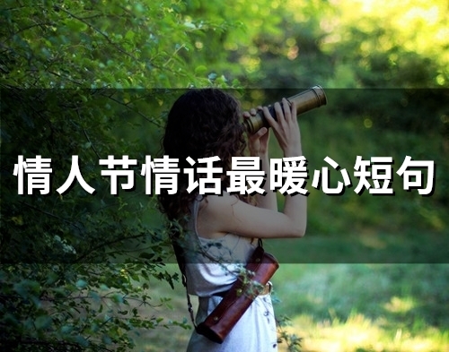 情人节情话最暖心短句(精选63句)