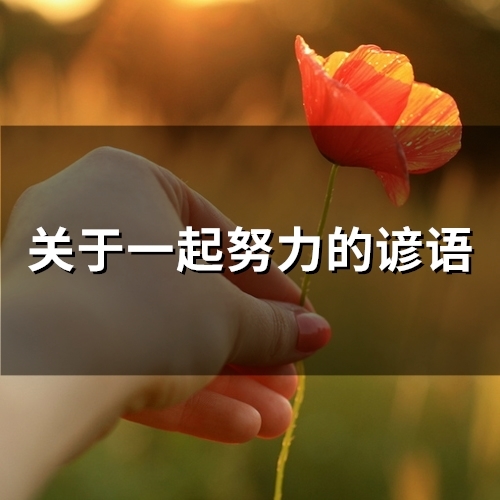 关于一起努力的谚语(98句)