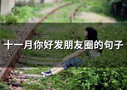 十一月你好发朋友圈的句子(精选64句)