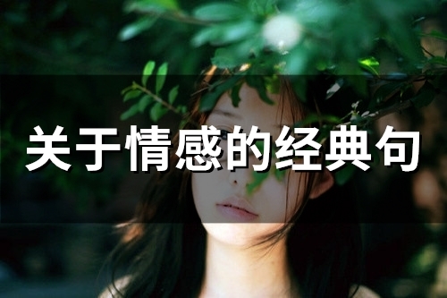 关于情感的经典句(81句)