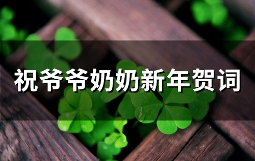 祝爷爷奶奶新年贺词(100句)