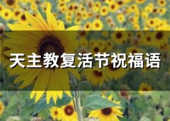 天主教复活节祝福语(79句)