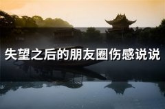 失望之后的朋友圈伤感说说(精选88句)