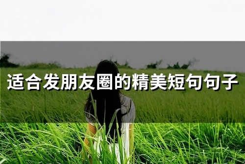适合发朋友圈的精美短句句子(精选95句) 适合发朋友圈的精美短句句子(精选95句)