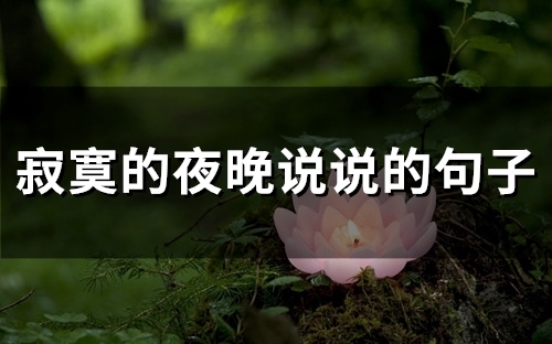 寂寞的夜晚说说的句子(92句)
