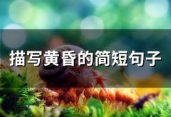 描写黄昏的简短句子(56句)