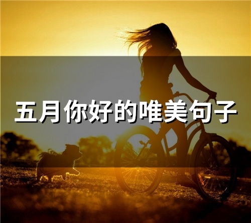 五月你好的唯美句子(66句) 五月你好的唯美句子(66句)