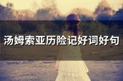 汤姆索亚历险记好词好句(52句)