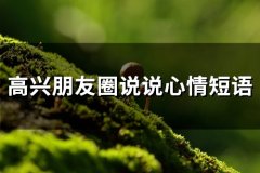 高兴朋友圈说说心情短语(66句)