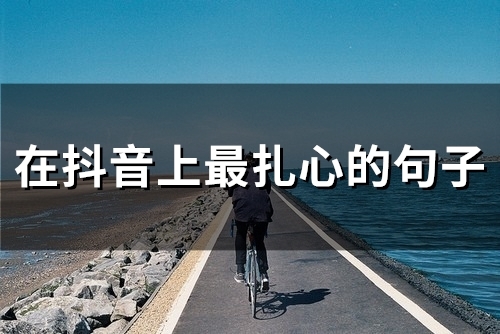 在抖音上最扎心的句子(66句)