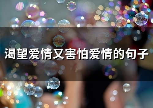 渴望爱情又害怕爱情的句子(77句) 渴望爱情又害怕爱情的句子(77句)