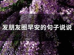 发朋友圈早安的句子说说(82句)
