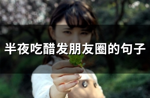 半夜吃醋发朋友圈的句子(94句)