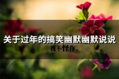 关于过年的搞笑幽默幽默说说(精选99句)