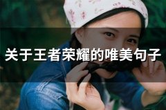 关于王者荣耀的唯美句子(83句)