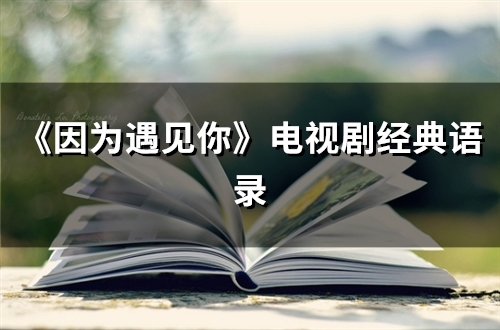 《因为遇见你》电视剧经典语录(88句)