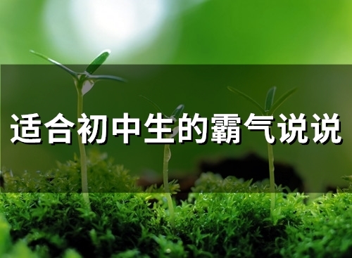 适合初中生的霸气说说(99句)