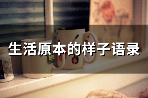 生活原本的样子语录(96句)