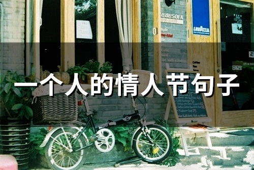 一个人的情人节句子(87句)
