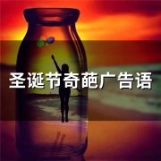 圣诞节奇葩广告语(66句)
