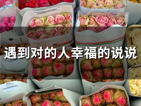 遇到对的人幸福的说说(90句)