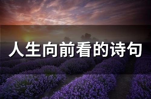 人生向前看的诗句(精选42句)