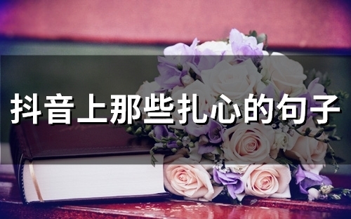 抖音上那些扎心的句子(精选68句)