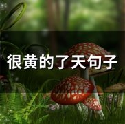 很黄的了天句子(100句)