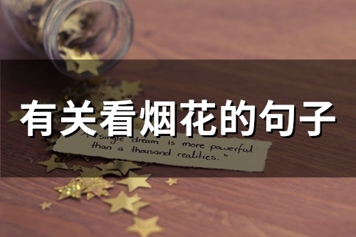 有关看烟花的句子(精选94句)