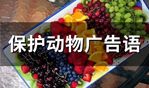保护动物广告语(精选88句)
