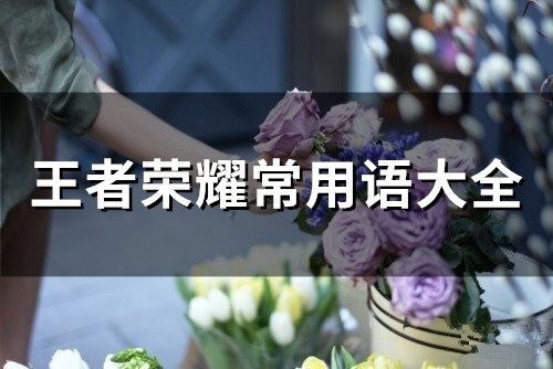 王者荣耀常用语大全(66句)