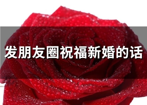 发朋友圈祝福新婚的话(65句)