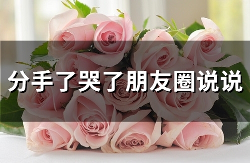 分手了哭了朋友圈说说(65句)