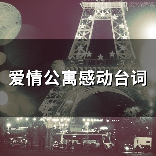 爱情公寓感动台词(36句)