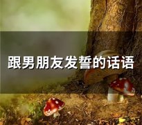 跟男朋友发誓的话语(精选79句)