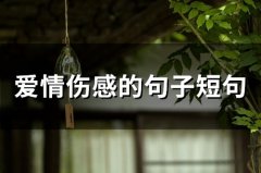 爱情伤感的句子短句(精选66句)