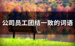 公司员工团结一致的词语(39句)