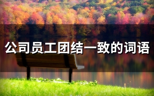 公司员工团结一致的词语(39句)