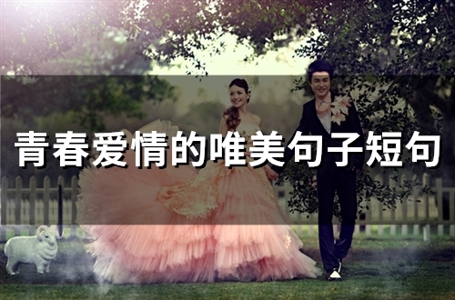青春爱情的唯美句子短句(66句)