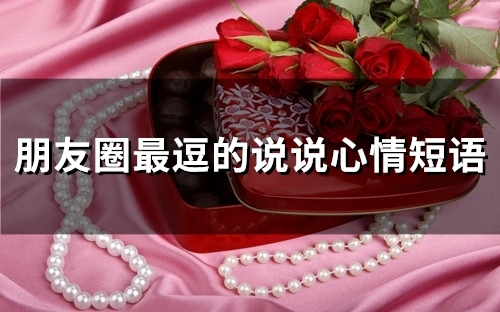 朋友圈最逗的说说心情短语(65句)