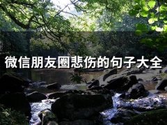 微信朋友圈悲伤的句子大全(65句)